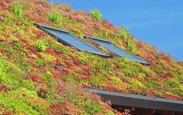 Embsay living roof systems